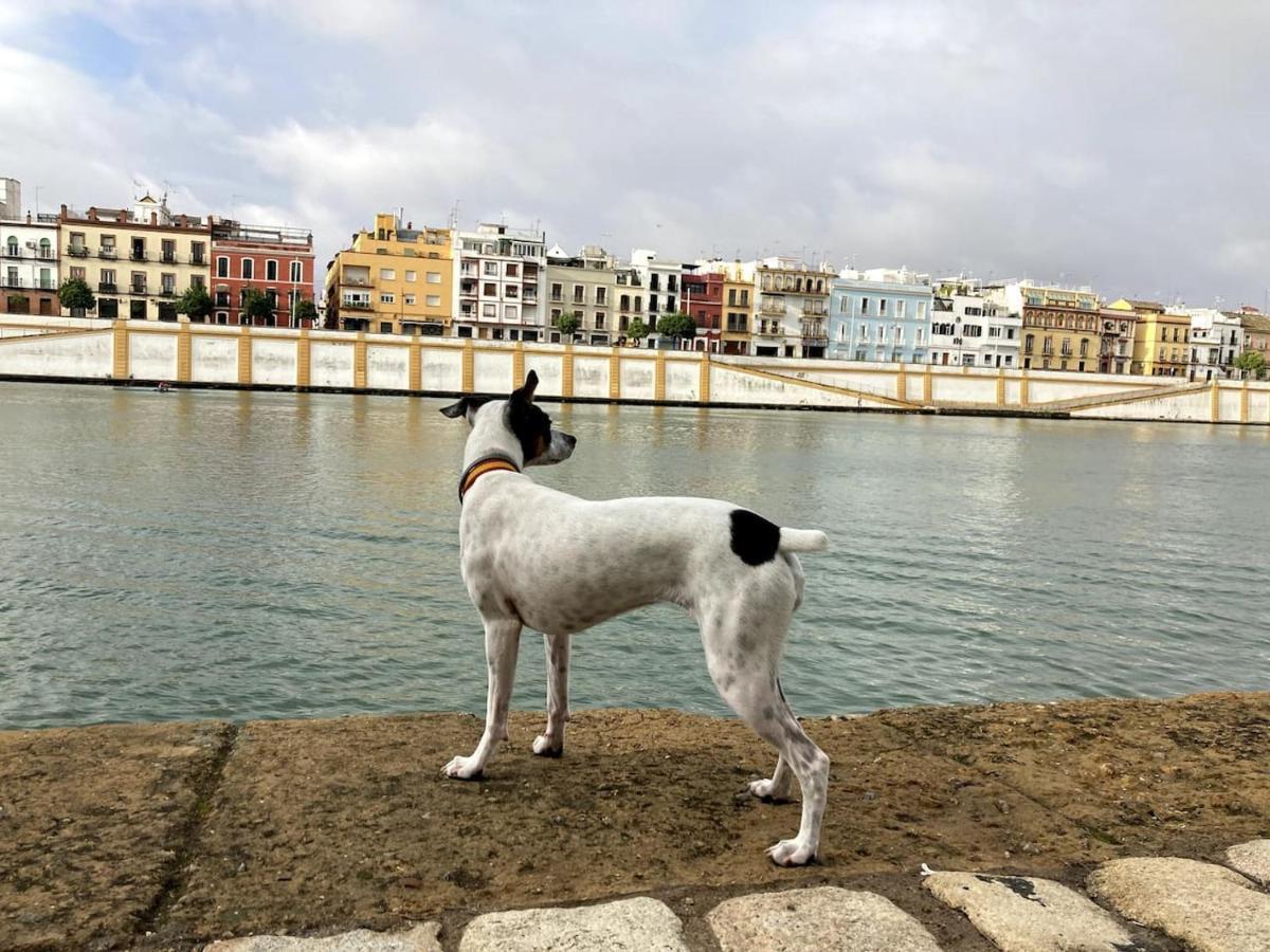 Mara Arenal Sevilla ภายนอก รูปภาพ